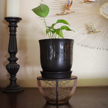 Load image into Gallery viewer, Walnut Indoor Spiderweb Plant Stand