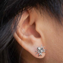 Load image into Gallery viewer, Sterling Silver Spider Studs
