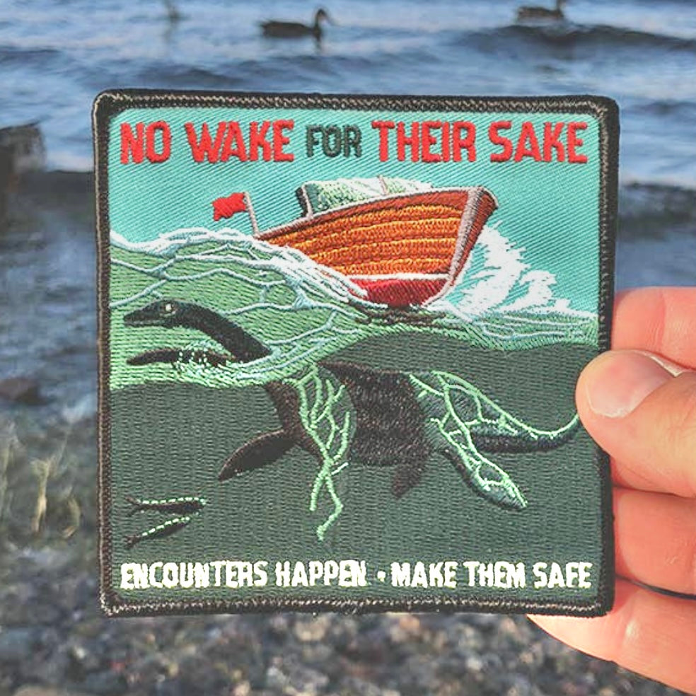 Loch Ness Safe Encounters Patch