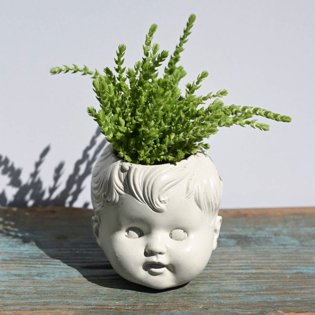 Baby Boy Doll head Planter